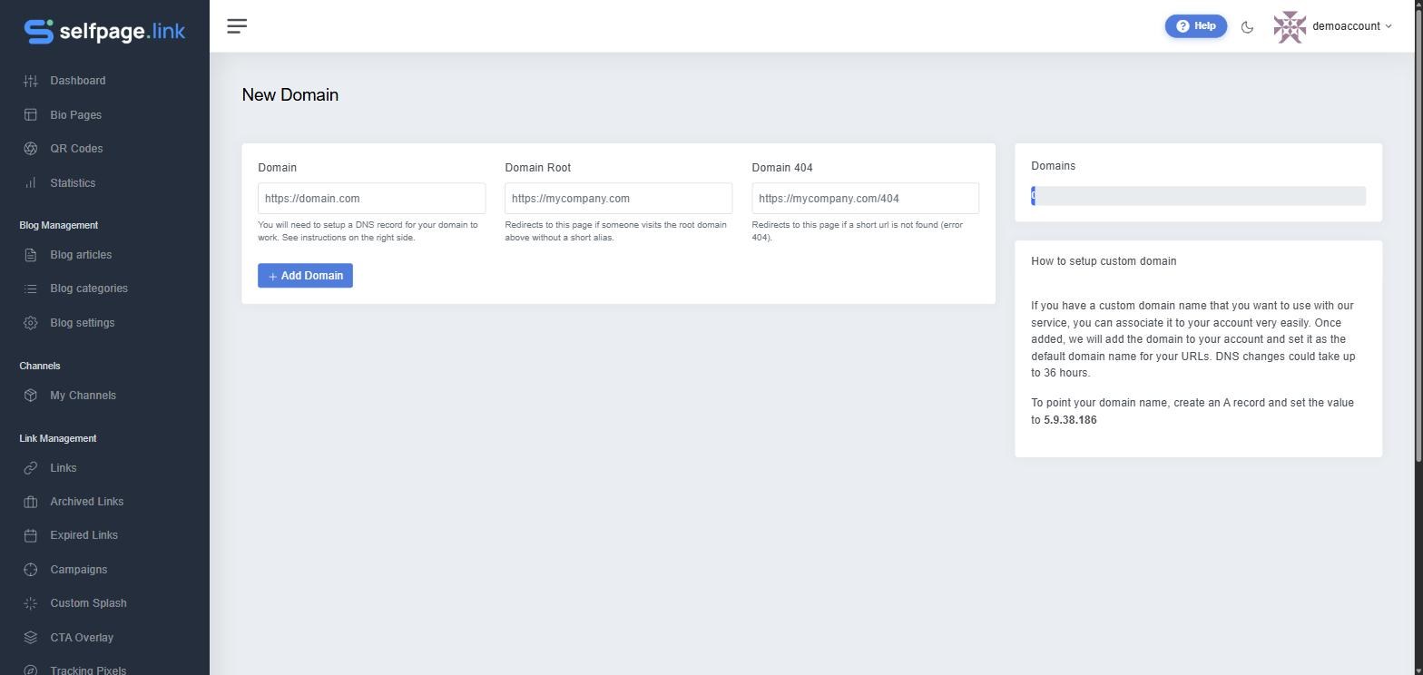 The New Domain form with the DNS instructions on the right
