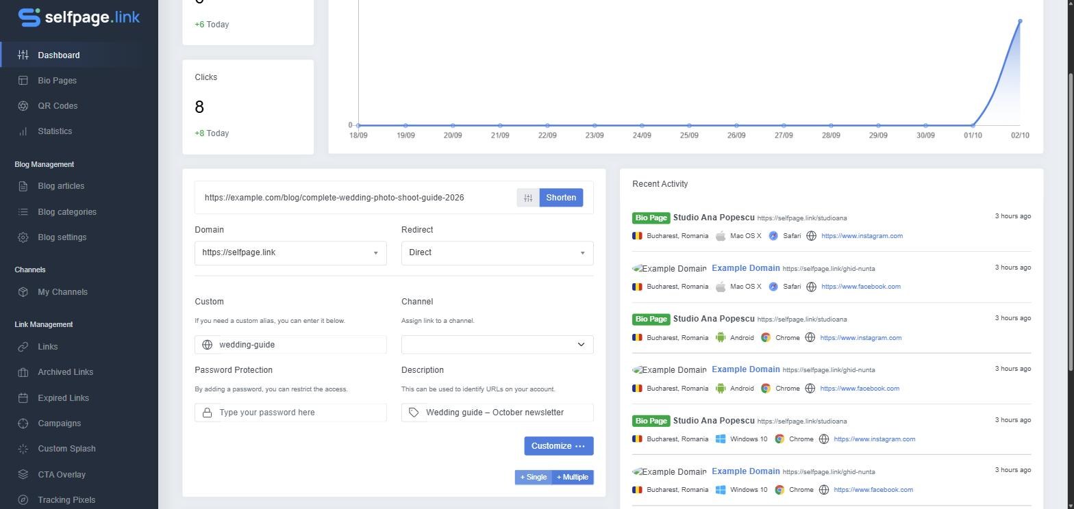 The advanced options when shortening a link: domain, alias, channel, password and description