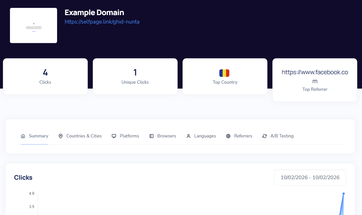 A link statistics page with clicks, unique clicks, top country and top referrer